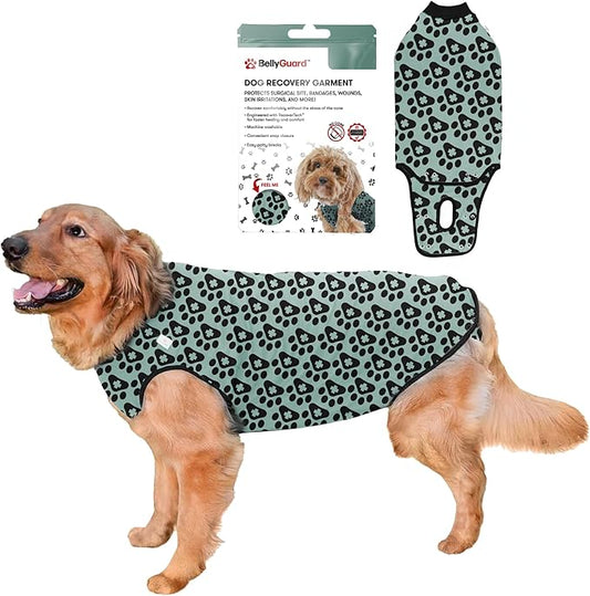 BellyGuard Dog Surgery Recovery Suit, Dog Onesie for Post-Op Care, Recovery Apparel for Female and Male, Surgical Body Cover for Canine Healing Support