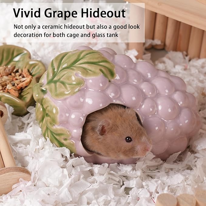 Ceramic Hamster Hideout,Grape Dwarf Hamster House,Guinea Pig Habitat Decor, Hideaway House for Gerbil, Cool Bed for All Season