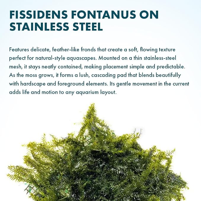 Live Aquarium Plants on Driftwood, Lava Rock, Moss, Fiber Mat - Freshwater Fish Tanks - Easy, Beginner Friendly (Fissidens Fontanus on Stainless Steel, (3 Pack))