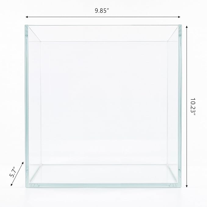Cirrsondy 3.17 Gallon Glass Fish Tank, Low Maintenance Small Aquarium for Betta Fish, Snails, Shrimp & Aquatic Plants