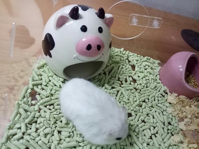 Hypeety Small Animal Hideout Ceramic House Critter Bath House Cave Mini Hut Cage for Dwarf Hamster (White)
