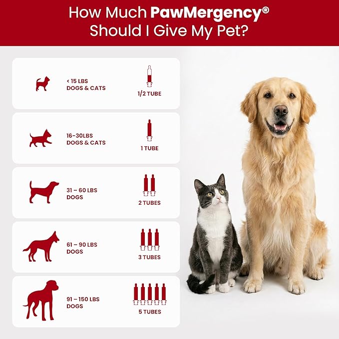 PawMergency – Activated Charcoal First Aid Kit Emergency Rescue 2 Pack for Dogs, Cats, Puppy & Pet Poison Kit, Camping Survival Remedy Essential, Oral Anti Diarrhea Digestive Absorb Toxins