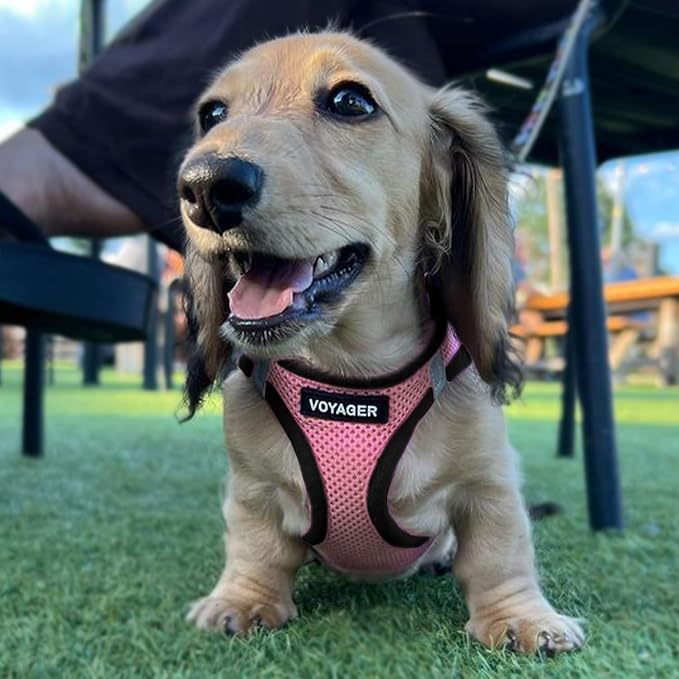 Best Pet Supplies Voyager Step-in Air All Weather Mesh Harness and Reflective Dog 5ft Leash Combo with Neoprene Handle, for Small, Medium and Large Breed Puppies - Pink Base, Small