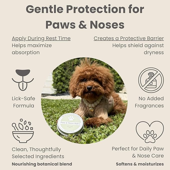 Ali+Oli Pets Paw & Nose Balm for Dogs – Daily Paw Care Grooming Balm with Organic Oils – Gentle Moisturizing Balm for Dry, Rough Paw Pads
