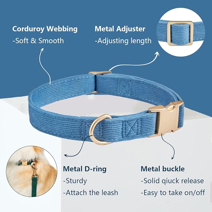 Soft Corduroy Dog Collar and Leash Set Adjustable Durable Dog Collars with Metal Buckle and Lead for Large Dogs,Royal Blue