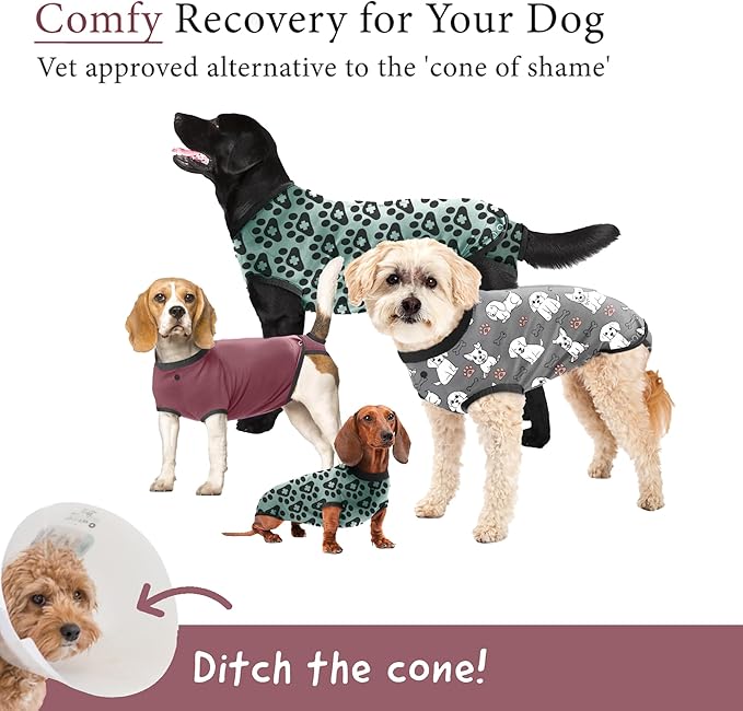 BellyGuard Dog Surgery Recovery Suit, Dog Onesie for Post-Op Care, Recovery Apparel for Female and Male, Surgical Body Cover for Canine Healing Support