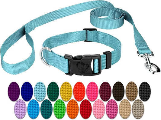 Country Brook Petz - Everyday Nylon Dog Collar and Leash - 10+ Cool Colors (3/4 Inch, Small, Ocean Blue)