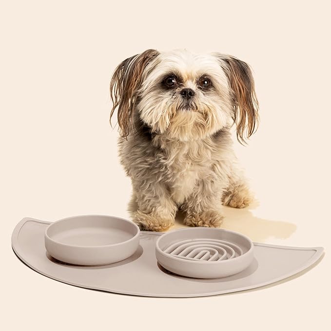 Should We Go? Slow Feeder for Dogs, The Slowdown Bowl Silicone Slow Eating Mealtime Solution with Modern Lick Mat Design, Reduces Gulping, Fits 1 Cup, 6” Across x 1.25” Tall, Small-Tan