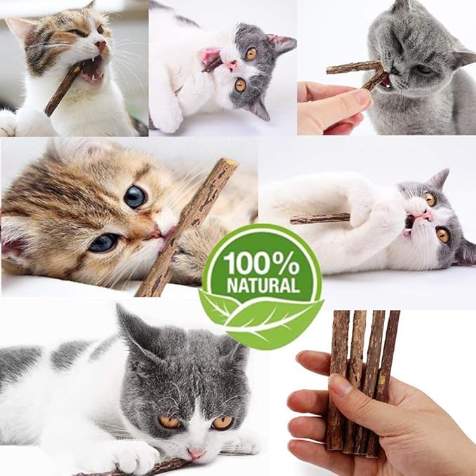 WoLover 20 PCS Cat Catnip Sticks Natural Matatabi Silvervine Sticks - Cleaning Teeth Molar Tools Kitten Chew Toy Natural Catnip Cats Toy