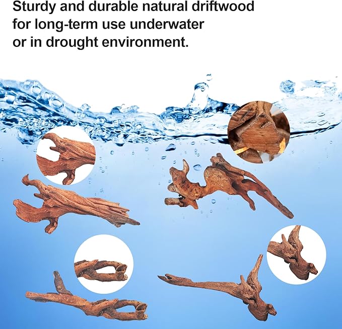 Natural Driftwood Decor for Aquarium Decorations Reptile Tank Accessories, Assorted Wood Branches Decorations on Reptile Fish Tank 2-10" 2 Pcs/4 Pcs/ 5 Pcs/ 6 Pcs (Pack of 4 (5. to 8 Inch))