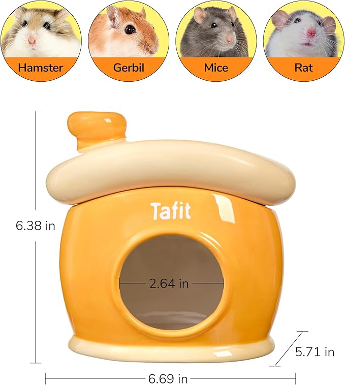 Ceramic Igloo Hamster Hideout - Green Small Animal Habitat Decor Hut for Syrian & Dwarf Hamsters, Gerbils, Mice, Rats - Four Seasons Home House