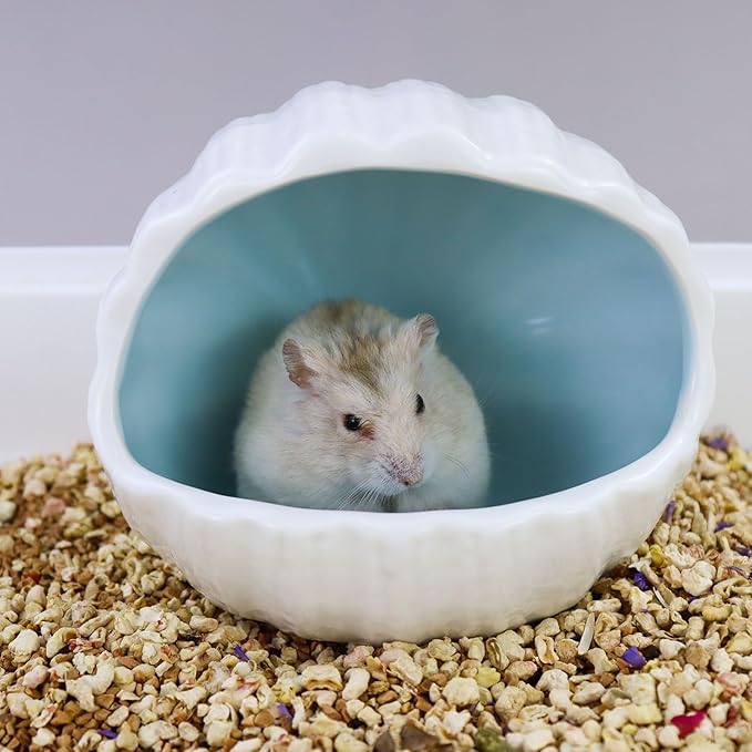 WishLotus Ceramic Hamster Hideout, Adorable Sea Shell Shaped Hamster House, Large-Opening Small Animal Hideout, Small Animal Hideout Habitat Decor for Dwarf Hamsters Gerbils Chinchilla (Blue L)