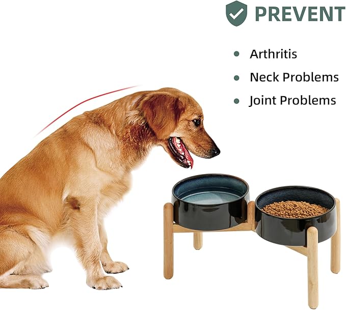 Havniva Ceramic 8.2inch Raised Dog Bowl with Stand for Large- Breed Dogs, Pet Food and Water Feeder (Double Bowl with Stand - Starry Sky)