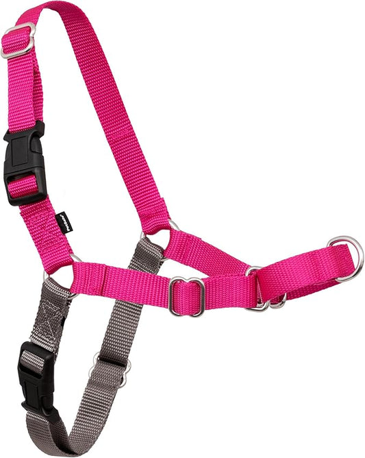 PetSafe Easy Walk No-Pull Dog Harness - The Ultimate Harness to Help Stop Pulling - Take Control & Teach Better Leash Manners - Helps Prevent Pets Pulling on Walks, Medium/Large, Raspberry/Gray