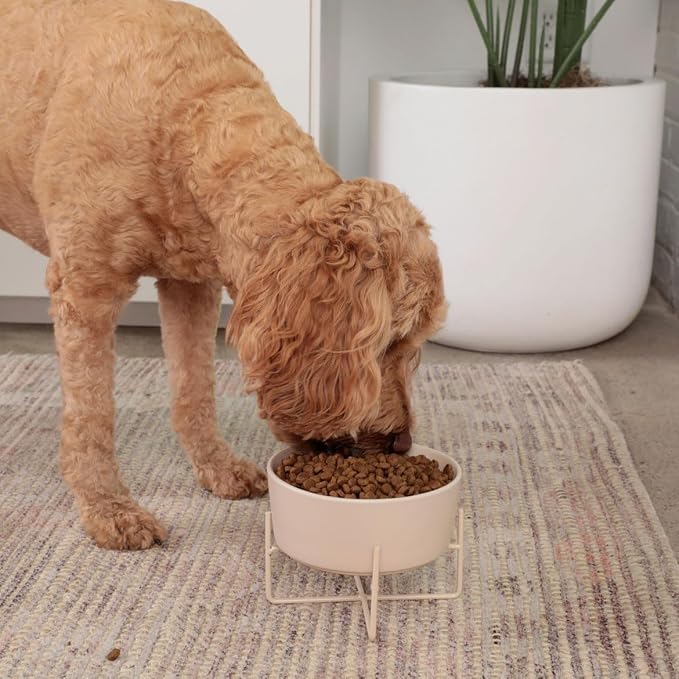 Waggo Simple Solid Dog Bowl and Dog Bowl Stand - Single Iron Stand with Single Ceramic Feeder or Water Bowl (Matte Buttercream, Large)