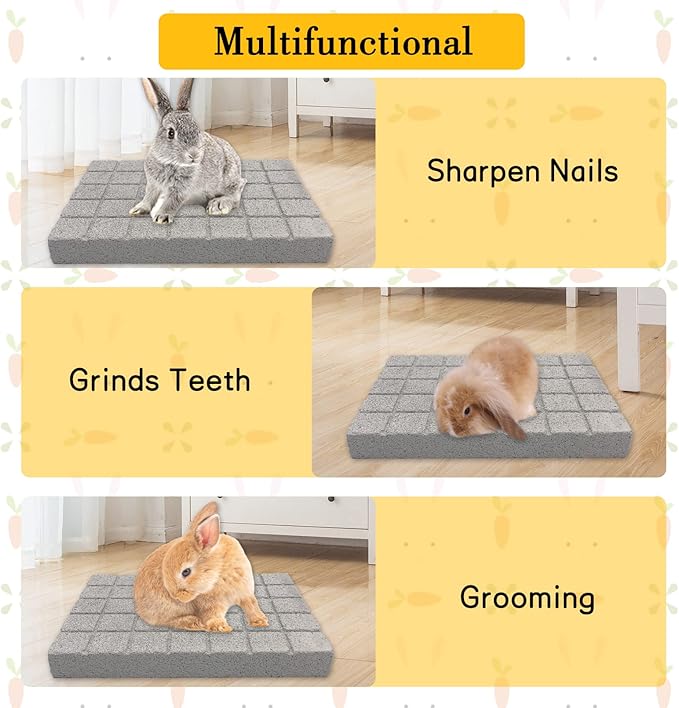 BNOSDM Chinchilla Sand Bath Container Chinchilla Dust Bath Tub Transparent Hamster Toilet Shower Room and Rabbit Grinding Claw Pads 2 Pack for Teeth Grinding for Guinea Pig Ferret Chinchilla Mouse