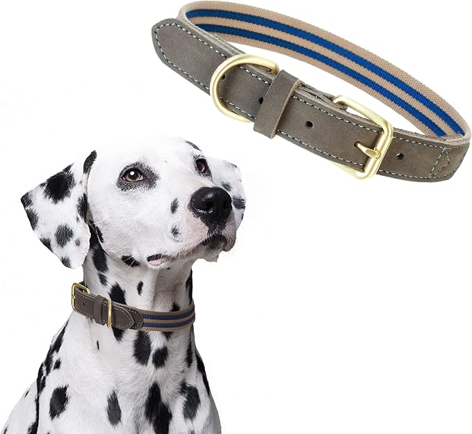 Mile High Life Genuine Leather Dog Collar, Heavy Duty Canvas Collar with Adjustable Metal Pin Buckle for Small Medium Large Dogs (Navy Blue, M Neck 15"-18")