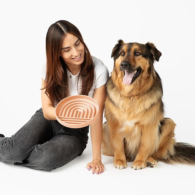 Should We Go? Slow Feeder for Dogs & Puppies, The Slowdown Bowl Silicone Slow Eating, Modern Lick Mat Design, Reduces Gulping, Fits 2.5 Cups, 9.5” Across x 1.5” Tall, Mealtime Challenge, Large-Blush