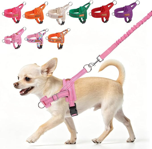 BEAUTYZOO Dog Harness Small Sized Dogs,2.0 Upgraded No Pull Front Adjustable Dog Harness and Leash Set,Escape Proof Soft Puppy Vest with Handle,Reflective Lightweight Step in Harness for Girl Boy Dogs