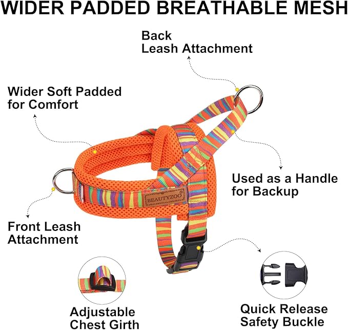 BEAUTYZOO Dog Harness for Small Dogs,No Pull Dog Harness and Leash Set,Soft Breathable Escape Proof Puppy Vest Harnessss with Handle,Lightweight Quick Fit Harness for Girl Boy Dogs Training Walking,S