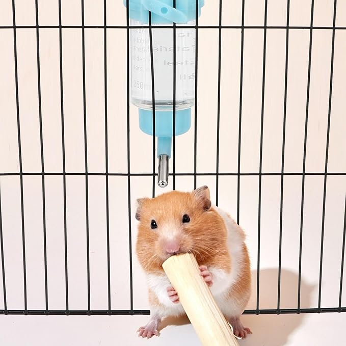 Hypeety Hamster & Guinea Pig Water Bottle - No Drip Dispenser, 250ML (Random Color)