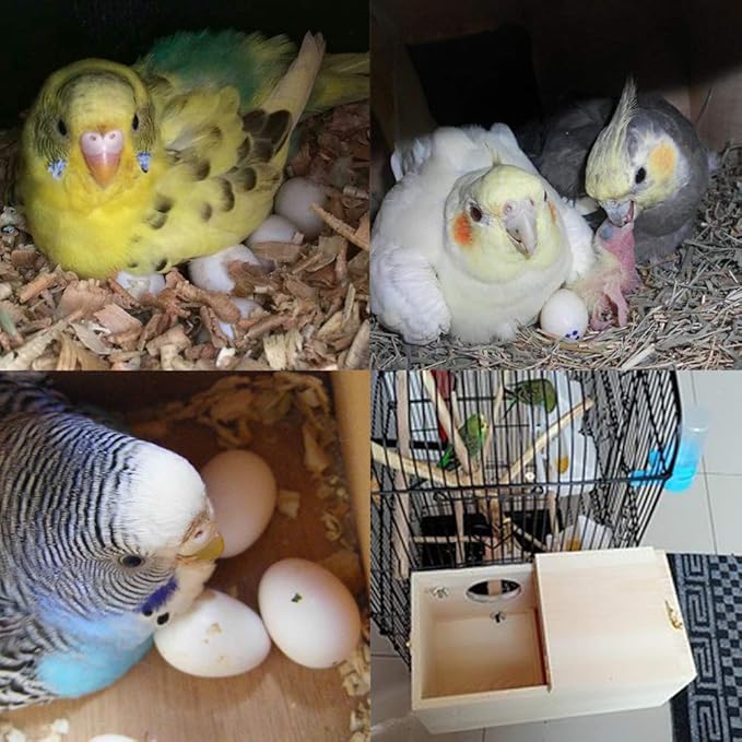 Pine Wood Parakeet Nest Box Bird House Budgie Breeding Mating Box for Lovebirds Cockatiel Parrotlets (S)