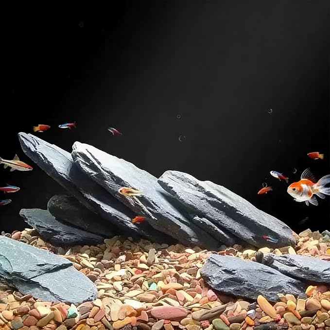 Slate Rock for Aquarium, 3-5 Inch Polished Natural Stone Rocks, 5 lbs | Fish Tank Decor, Aquascaping Rocks, Safe for Aquariums, Terrariums