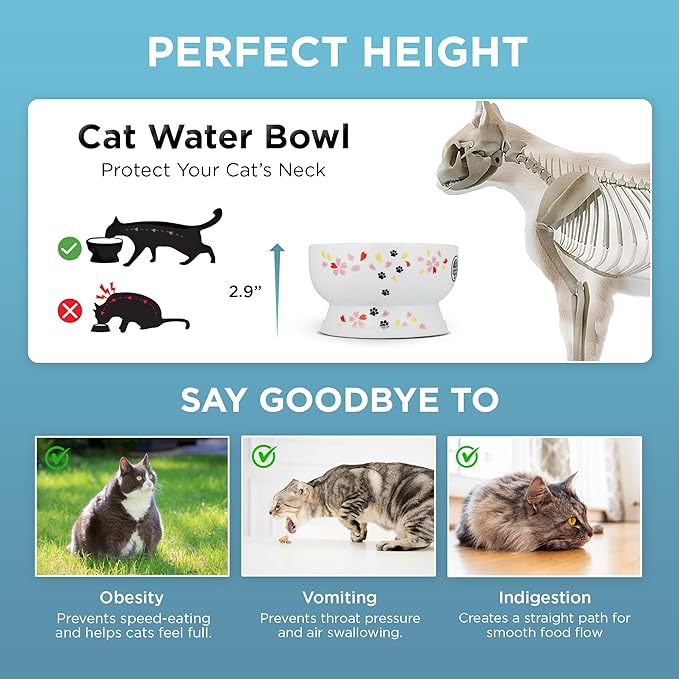 Raised Cat Water Bowl (Sakura Limited Edition)