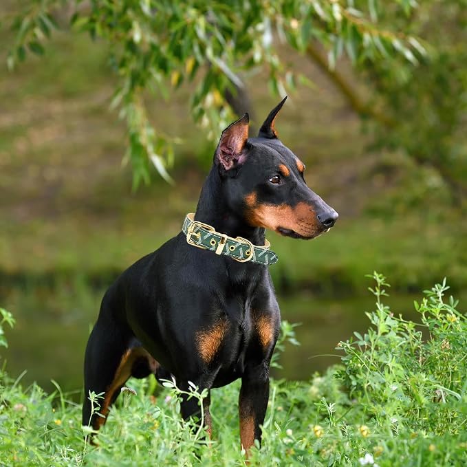 Leather Dog Collar and Leash Set, Check Pattern Dog Collar Leashes Metal Buckle Adjustable Durable for Small Medium Large Dogs (Green, S(11.4-13.4IN))
