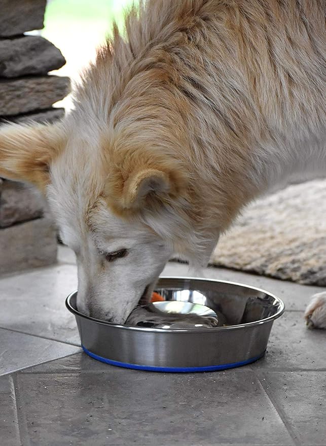 OurPet's Durapet Slow Feed Premium Stainless Steel Dog Bowl, Silver, Large (2040010302)