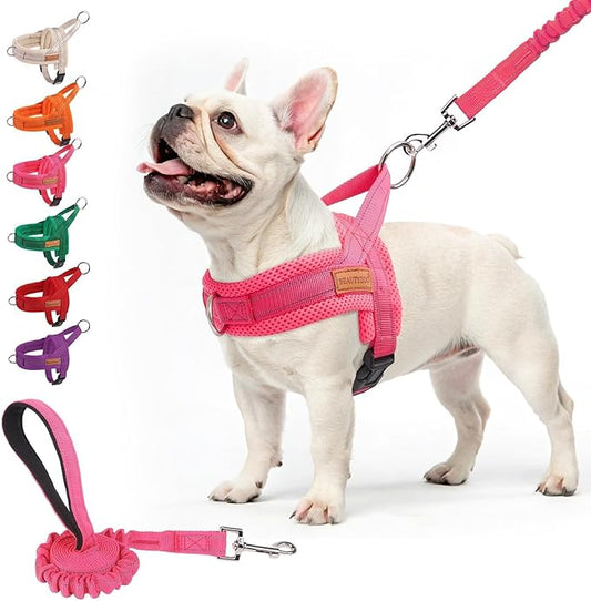 BEAUTYZOO No Pull Dog Harness Medium Sized Dog, Breathable Mesh Padded Dog Harness and Leash Set, Adjustable Reflective Escape Proof Dog Vest Harnessss Quick Fit for Training Walking, Hot Pink M