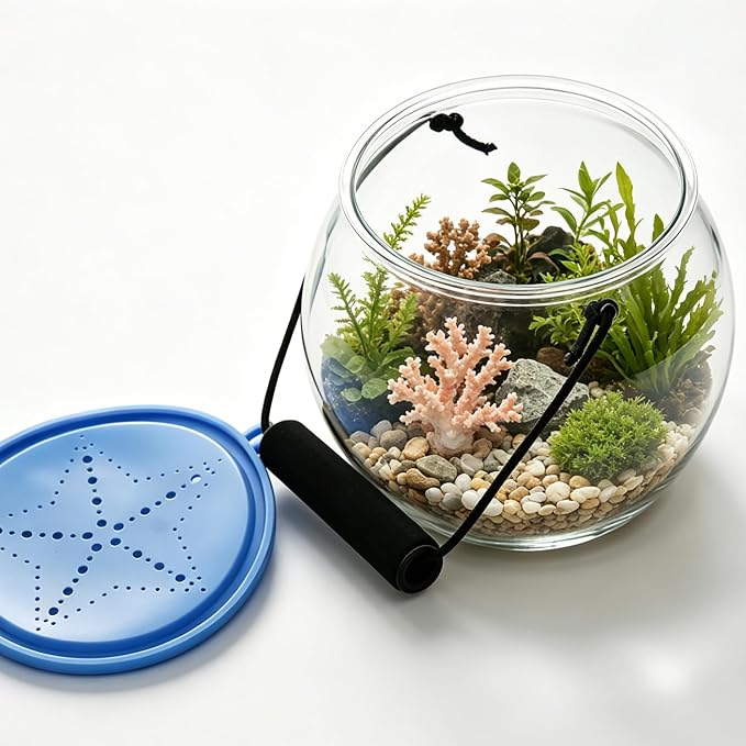 Easy Playhouse: Observation Aquarium - Beach Catch & Release Toy Terrarium, Clear Acrylic Orb, Handle & Lid, Fish & Nature Exploration Play, Kids 3+