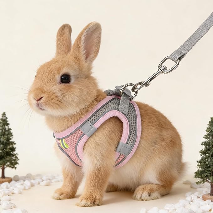 Bunny Harness and Leash Set Breathable Pet Rabbit Harness and Leash Set Soft Rabbit Leashes Reflective Strips Jacket Escape-Proof Walking Gear for Rabbits, Small Kitten, Puppy, Guinea Pigs (Pink,S)