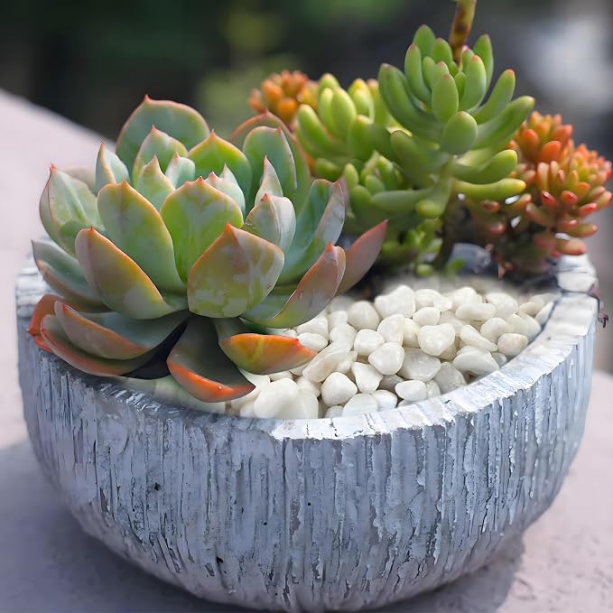 FANTIAN White Pebbles for Indoor Plants, 3/8 Inch Decorative White Stones. Polished River Rocks for Potted Plants Vase Cactus Bird Bath and Outdoor Garden Landscaping