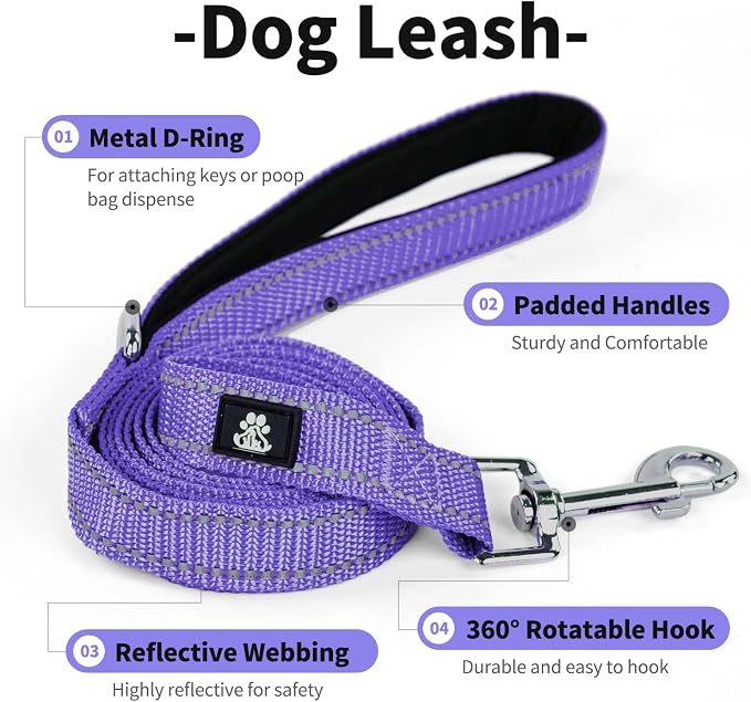 IVY&LANE Reflective Dog Collar and Leash Set,Adjustable Neoprene Padded Dog Collars for Puppy, Breathable Nylon Pet Collar for Small Medium Large Dogs (Large,Purple)
