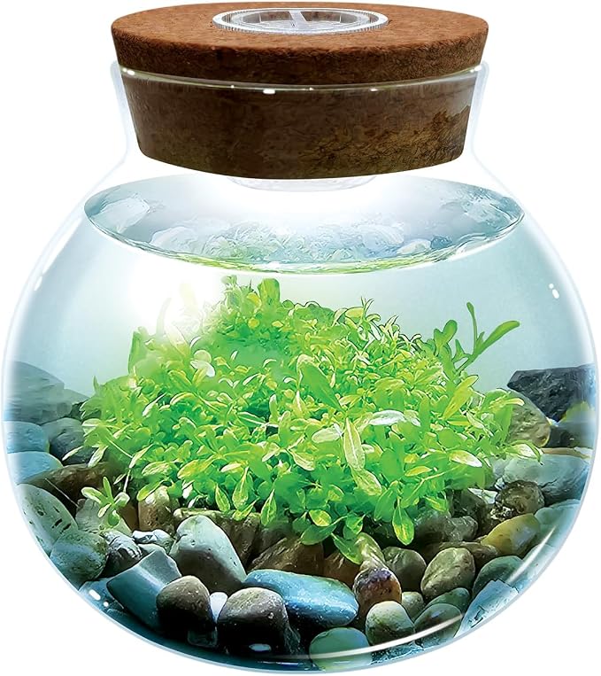 WaterPlants- Create Your Own Lush and Soothing Aquascape Terrarium Starter Kit, Indoor Plant Glass Globe Terrariums with Powerful 3 LED Light and Complete Supplies, Just Add Water!