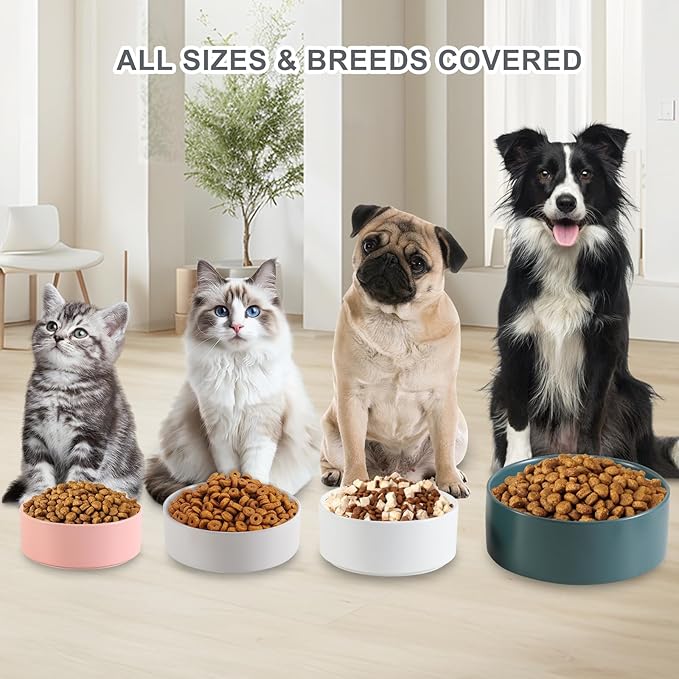 Ceramic Dog Bowl for Food and Water - Pet Feeder Bowl for Small Dogs and Cats - Heavy Ceramic Feeding Dish with Non Slip Base - Dishwasher & Microwave Safe - 5 Inch - 1.4  Cups - Black