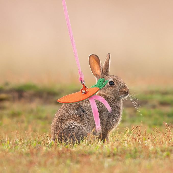 Small Pet Harness Leash Set 5pcs with Adjustable Chest Strap, Soft Fabric Squirrel Rabbit Guinea Pig Walking Rope for Outdoor Use Random Color
