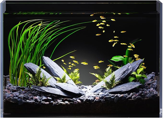 5 Gallon Glass Fish Tank Rimless with Black Background Rectangular Tank | Ultra Clear Low-iron Glass, 5 mm Thick, 92% Light Transmission, for Betta Shrimp Guppy Snail, Included Leveling Mat