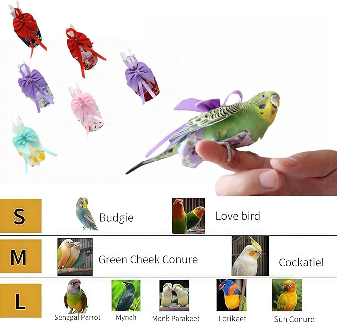 6pcs Bow Bird Diaper Set, Soft Reusable Flight Suit Clothing for Parrots Budgies Cockatiels — Cleaner Indoor Bonding & Training (M)
