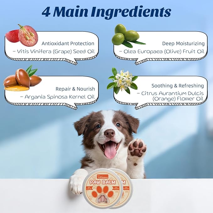 Dog Toothpaste with Toothbrush Kit - Coconut Chicken Flavor Pet Dental Care, Plaque Tartar Remover, Fresh Breath, Easy Brushing No Resistance for Dogs Cats, 2.1oz