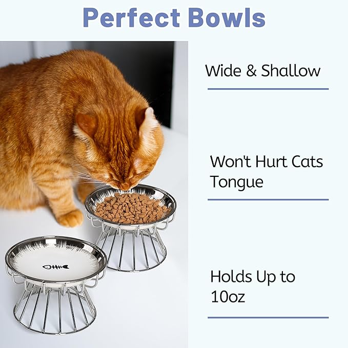 Cat Bowls, Elevated Bowl, Raised Ceramic Dish with Metal Stand, Pet Water or Food Feeding Station for Indoor Cats, Kitten,Dishwash Safe