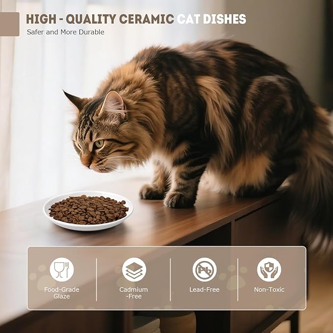 Ceramic Cat Food Bowls for Indoor Cats and Kitten, 4 Cute Cat Feeding Bowls Shallow Whisker Relief Dishes for Cats, 5.9" Wide Pet Plates for Wet & Dry Food and Water, Non-Slip Base, with 4 Spring Toys