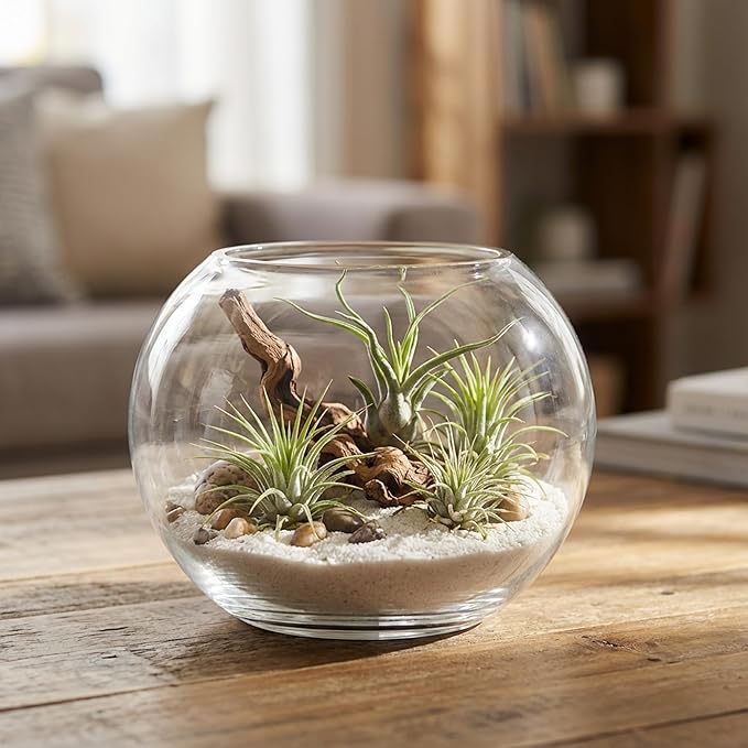 WGV Bowl Glass Vase, Diameter 5.1", Height 3.75", Open Width 3", (Multiple Sizes Choices) Clear Bubble Planter Terrarium Fish Bowl for Wedding Event Home Decor, 12 Pieces (VBW0005)