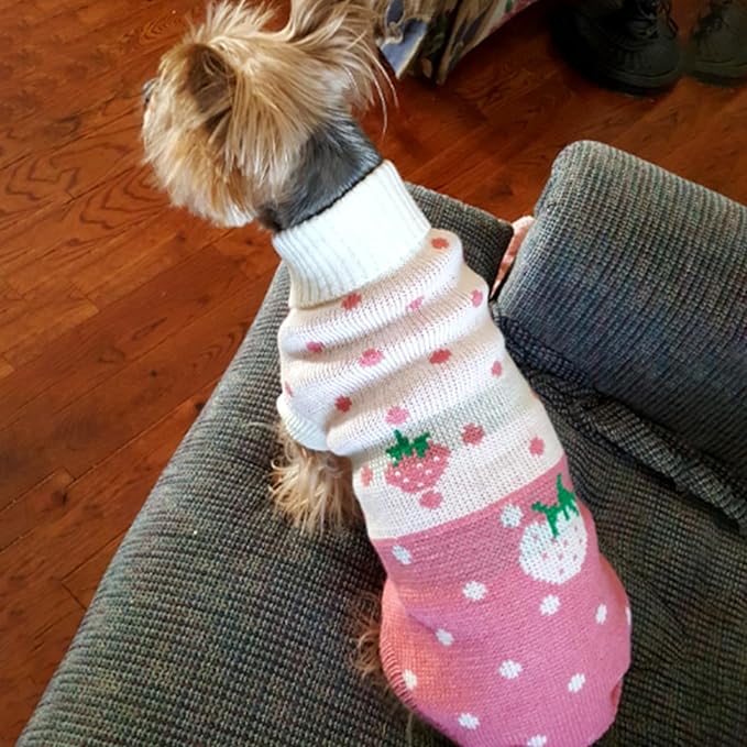 CHBORCHICEN Pet Dog Sweaters Classic Knitwear Turtleneck Winter Warm Puppy Clothing Cute Strawberry and Heart Doggie Sweater (Pink, XX-Small)