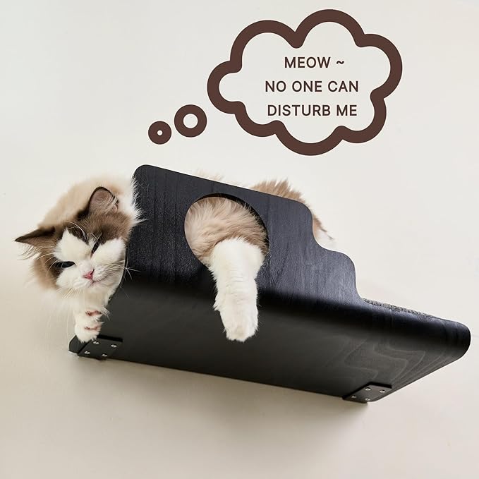 LIORCE Cat Wall Shelves, Creative Design Cat Shelf with Peephole, 19 x 10 inch Cats Wall Furniture with Comfortable Pad, Cats Perch for Sleeping, Playing, and Scratching, Walnut