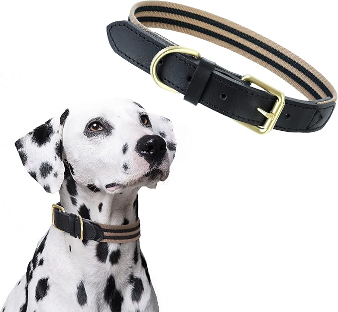 Mile High Life Genuine Leather Dog Collar, Heavy Duty Canvas Collar with Adjustable Metal Pin Buckle for Small Medium Large Dogs (Black, L Neck 17"-21")