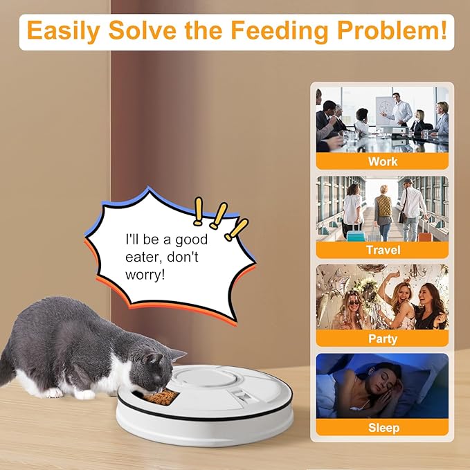 Automatic Cat Feeder for Dry Food,Supplement & Treats， 6 Compartment Timed Cat Food Dispenser for Cats and Small Dogs，No Ice Needed Automatic Dog Feeder(Black)