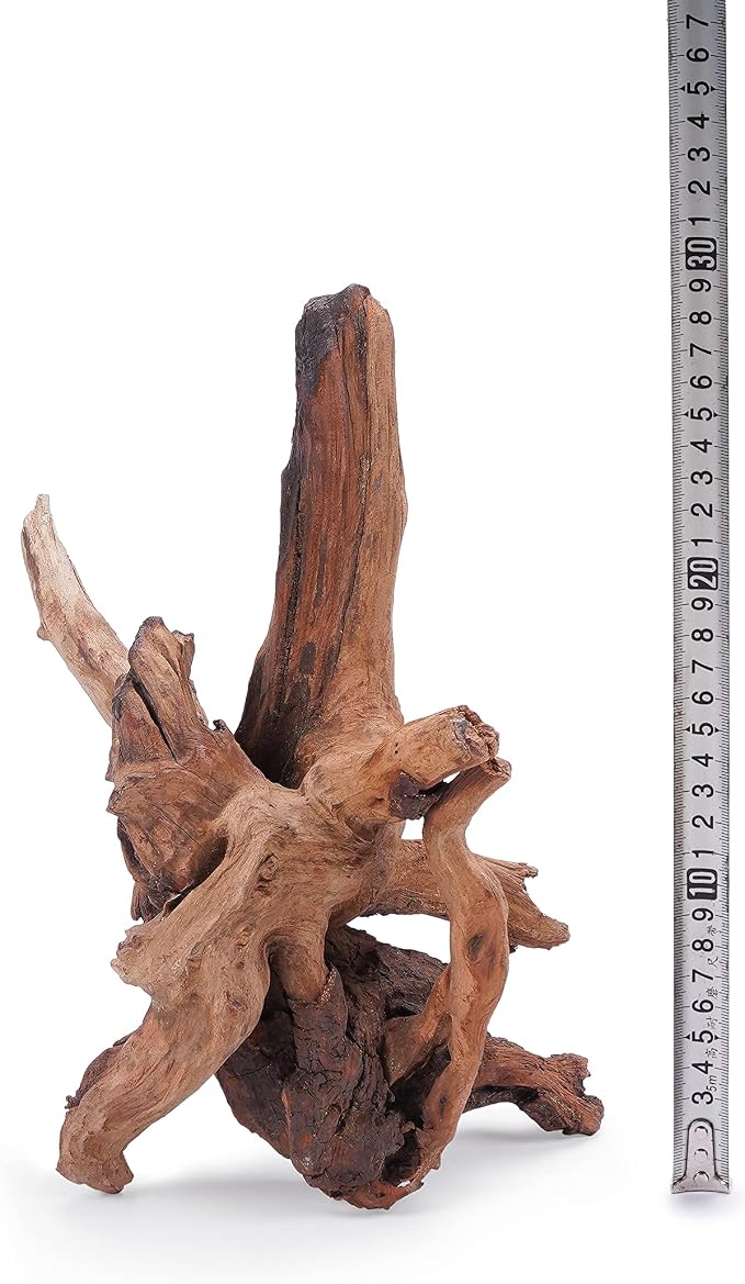 Panna Driftwood Natural Aquarium Wood 4pcs 12-16in Reptile Decor | Branchy shapes; planted and reptile terrarium