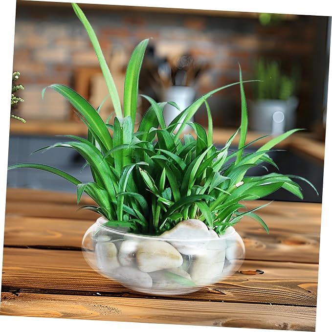 YARNOW Clear Glass Fish Bowl Desktop Fish Tank for Goldfish Shrimp and Plants Hydroponic Flowerpot Portable Fish Keeper Multi Functional Aquarium High Transparency